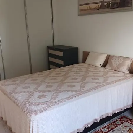 Pedro Homestay *